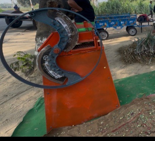 Sirsa model